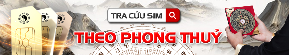tra cuu sim phong thuy